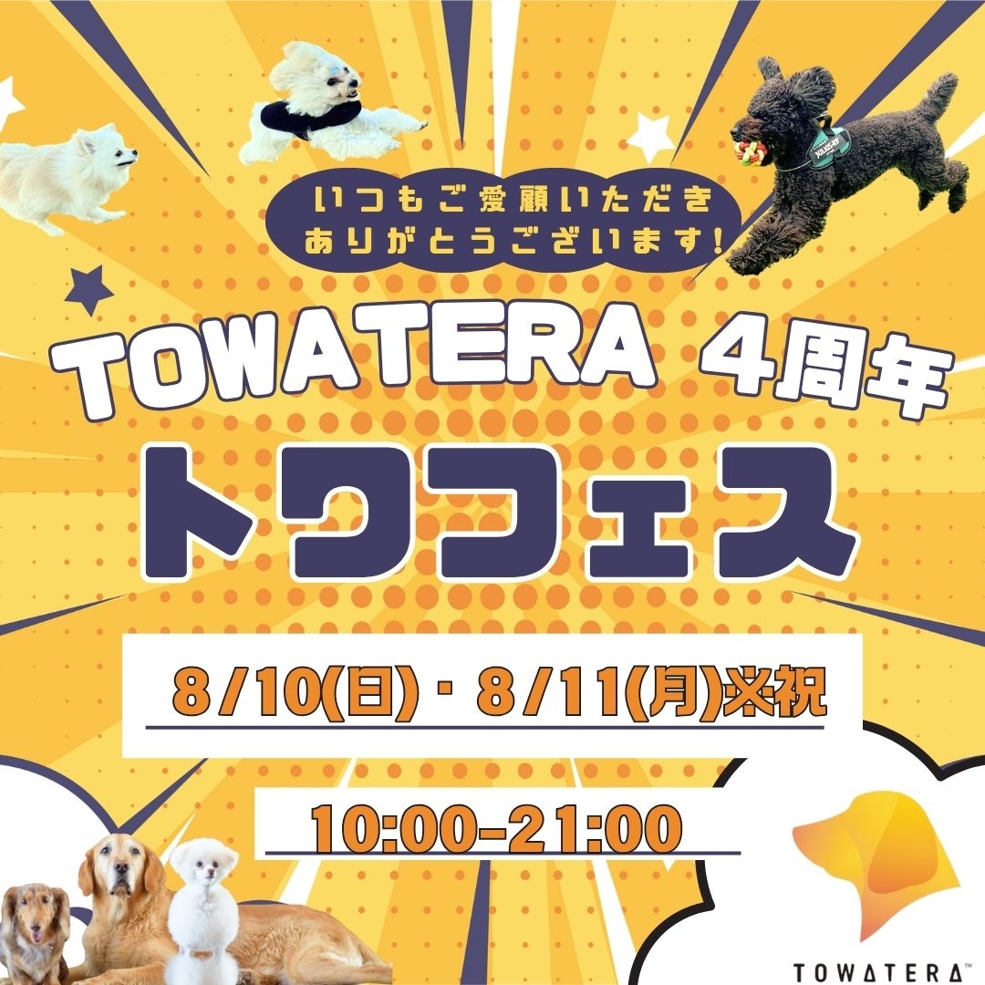 トワテラ4周年イベント〈トワフェス〉を開催いたします‼️